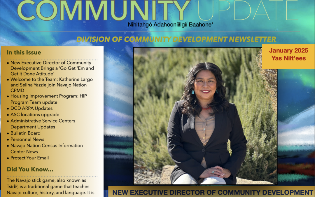 DCD Newsletter January 2025